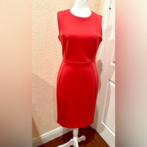 Calvin Klein -Stunning Dress🌹